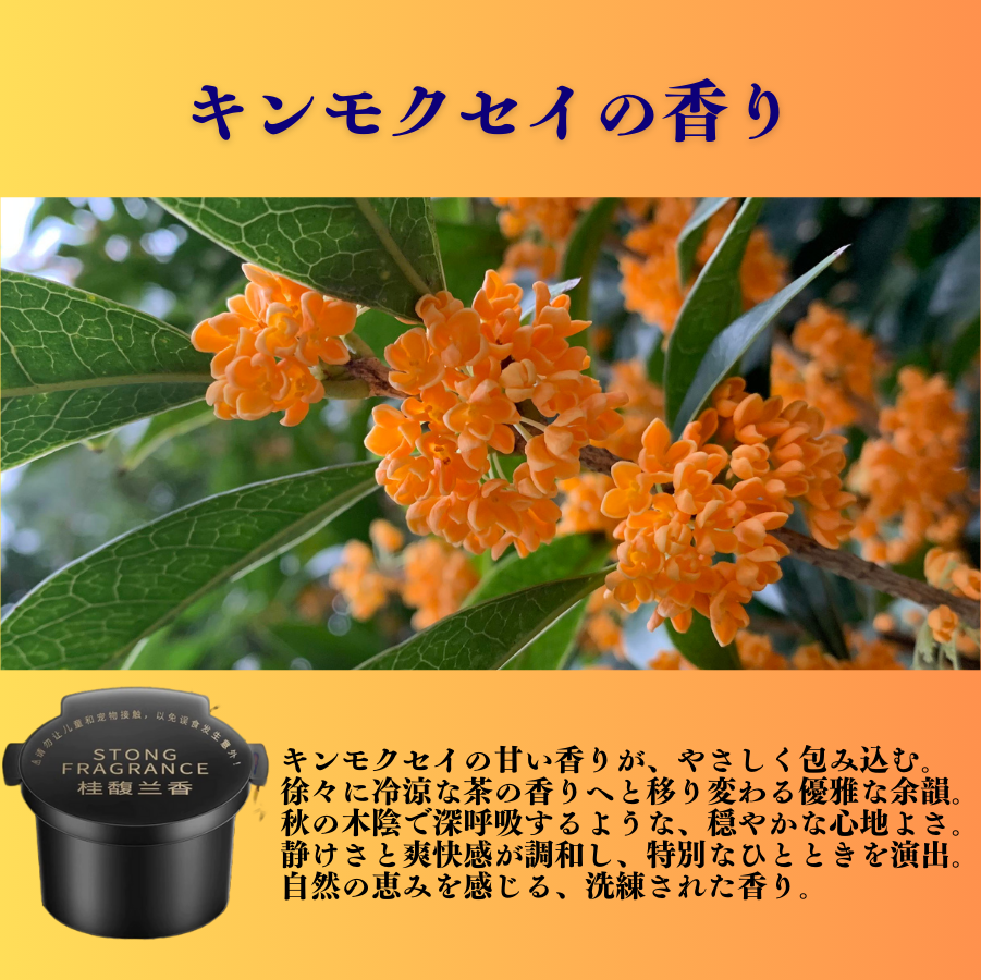 Scentify™プレミアム エッセンス レフィル