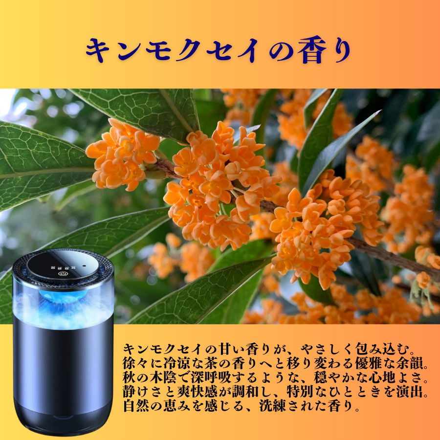 Scentify™ エアフレッシュナー